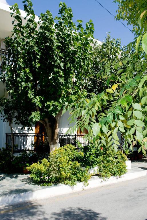 Oasis Studios Палеохора Экстерьер фото